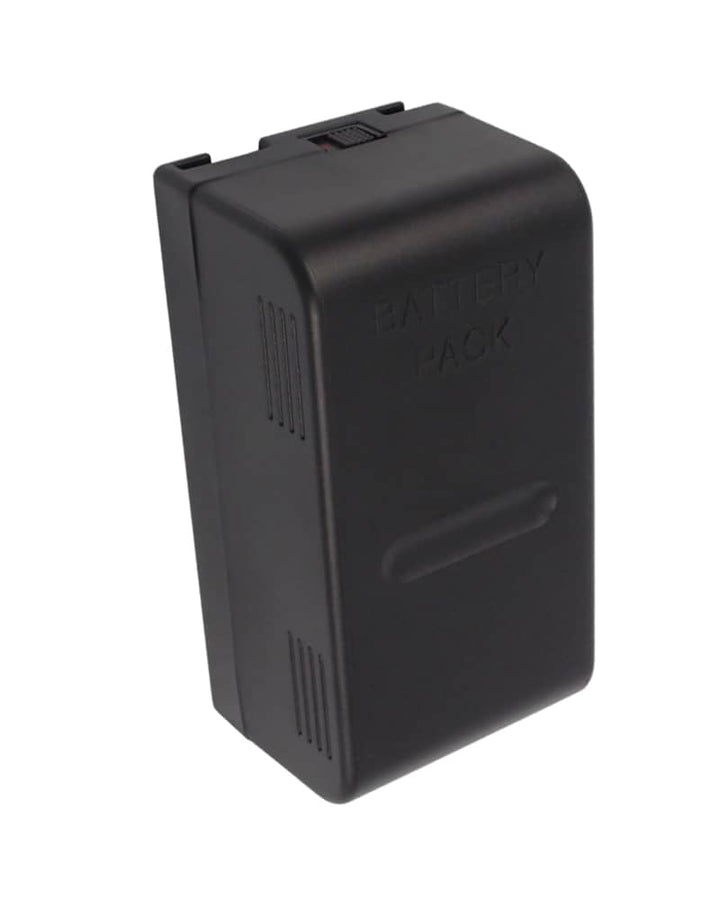 Panasonic NV-RXTEN Battery - 11