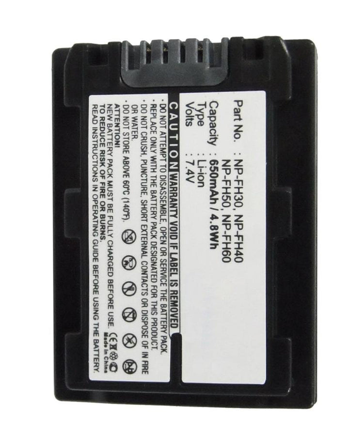 Sony HDR-SR12/E Battery - 7