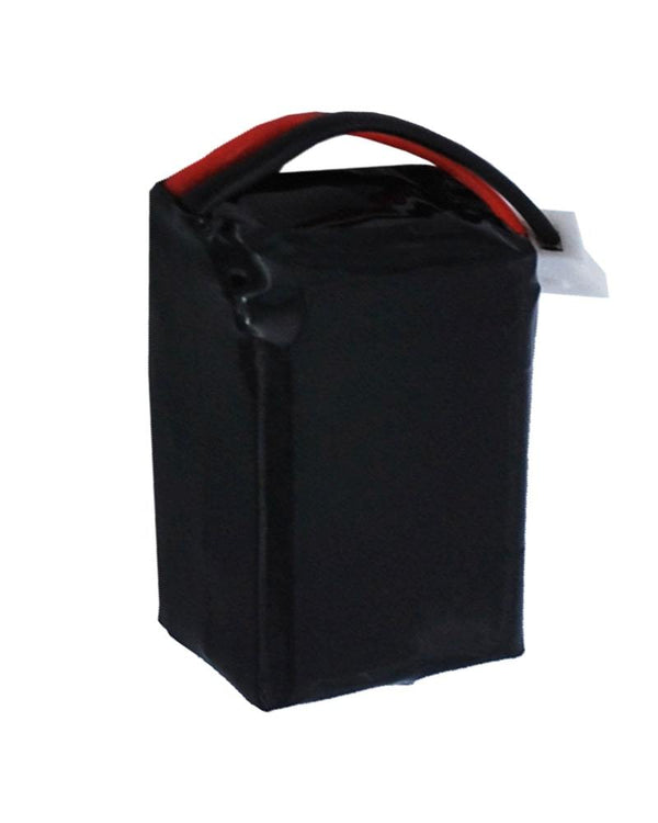 Dogtra Edge RT Remote Battery